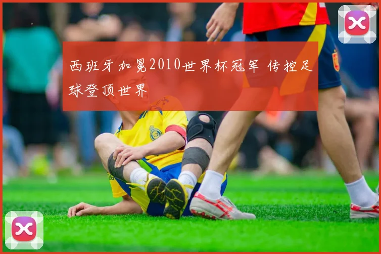 西班牙加冕2010世界杯冠军 传控足球登顶世界