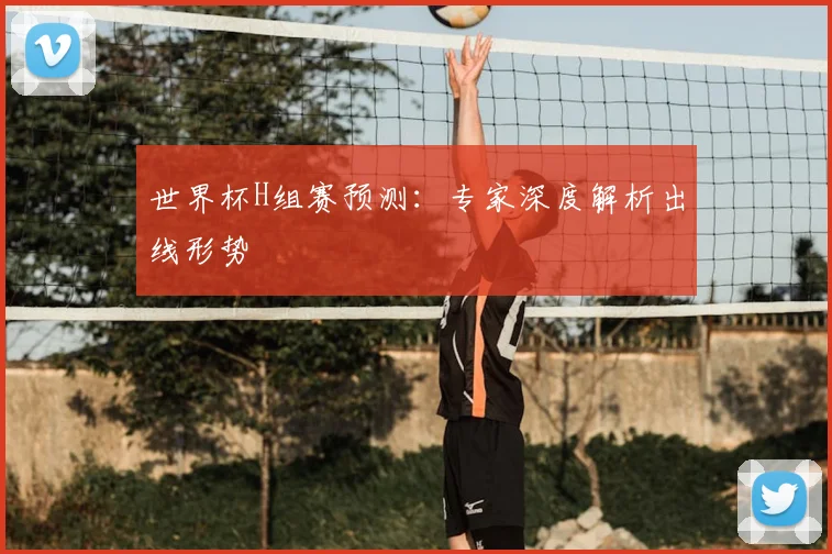世界杯H组赛预测：专家深度解析出线形势
