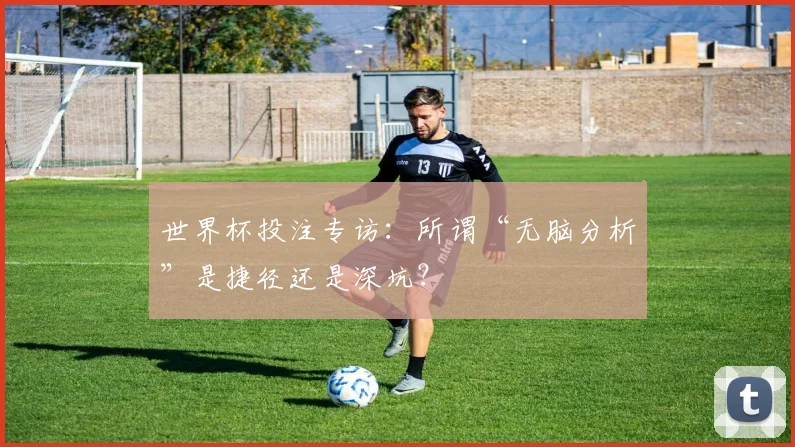 世界杯投注专访：所谓“无脑分析”是捷径还是深坑？