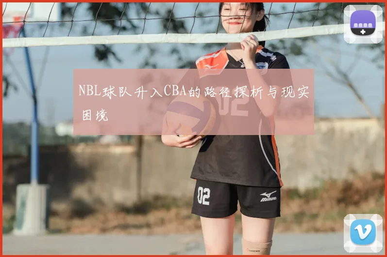 NBL球队升入CBA的路径探析与现实困境