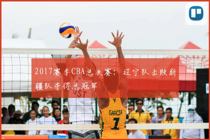 2017赛季CBA总决赛:辽宁队击败新疆队夺得总冠军