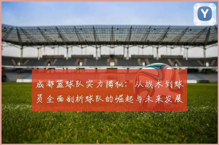 成都篮球队实力揭秘：从战术到球员全面剖析球队的崛起与未来发展