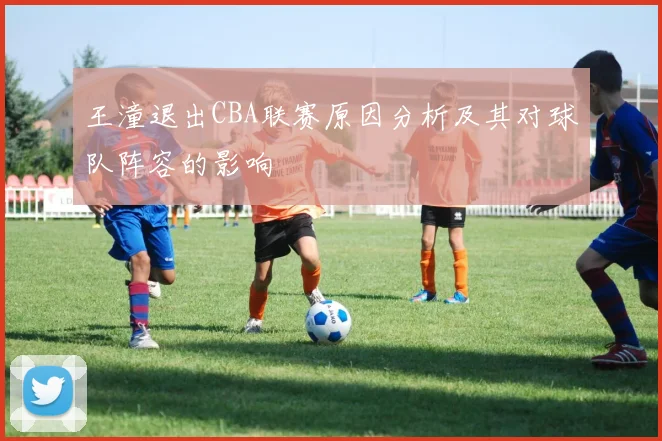 王潼退出CBA联赛原因分析及其对球队阵容的影响