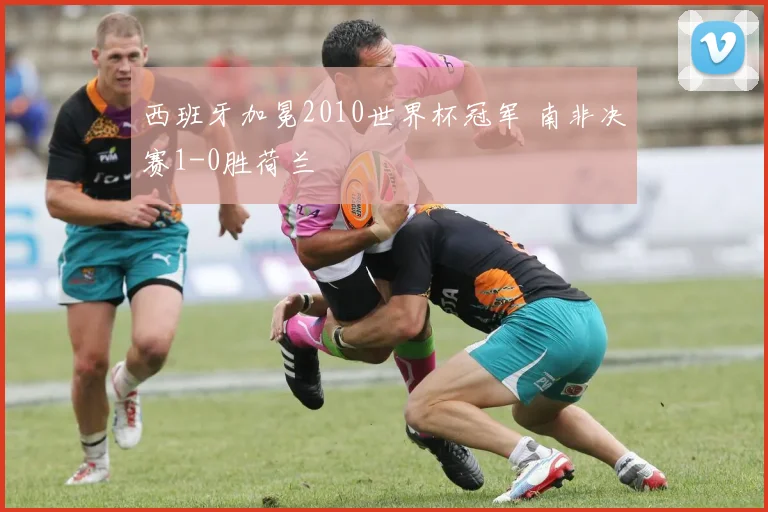 西班牙加冕2010世界杯冠军 南非决赛1-0胜荷兰