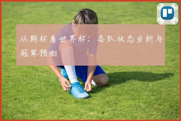 从斯杯看世界杯：各队状态分析与冠军预测